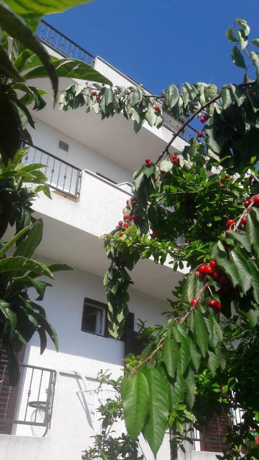 Apartments Lans Vodice Dış mekan fotoğraf
